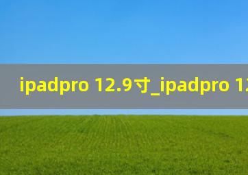 ipadpro 12.9寸_ipadpro 12.9寸包